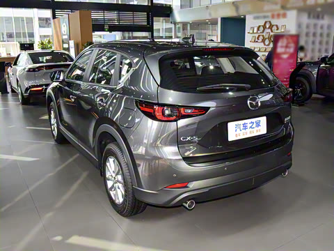 2025�� 2.0L �Զ�����������