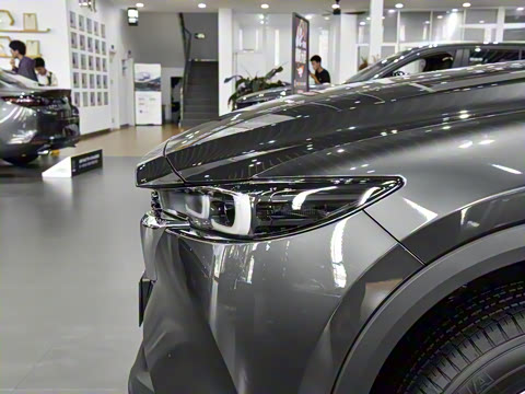 2025�� 2.0L �Զ�����������