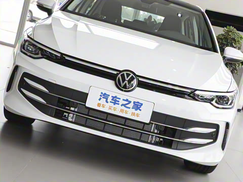 2025�� �Ŀ� 300TSI Pro