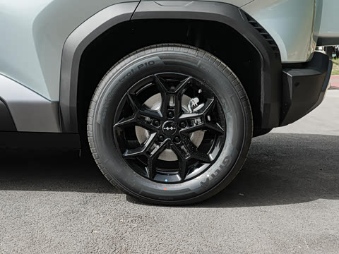 2025�� 501KM ����Max��