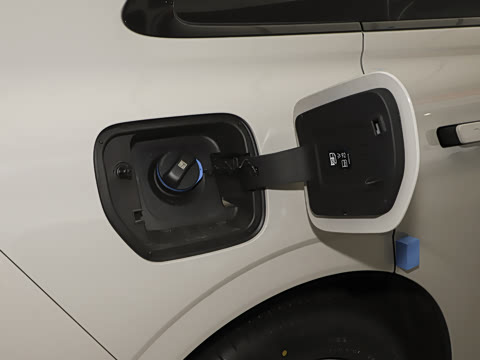 2025�� ���� 265 Pro�������ٸ�����ʻ