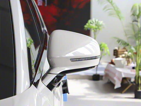 2025�� ���� 265 Pro�������ٸ�����ʻ