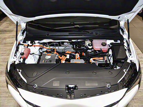 2022�� �����ǻ��� PLUS