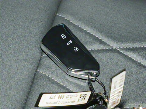 2024�� 300TSI DSG������