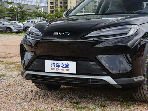 2025�� 135 �����ܼ����״��