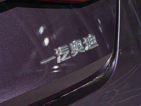 2026�� A3L Limousine 35TFSI �ɳ�������