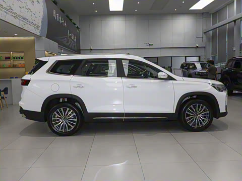 2025�� 1.6TD DCT��Ӣ�� 7��