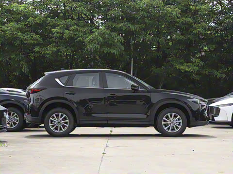 2024�� 2.0L �Զ�����������