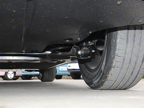 2025�� 445km ���ð�