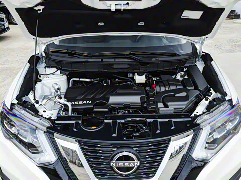 2025�� ���� 2.0L �������Ȱ�