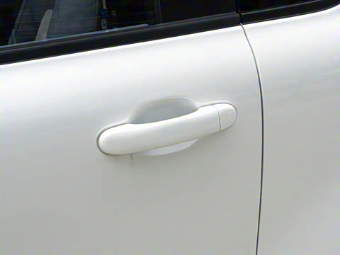 2025�� 222km �鶯��