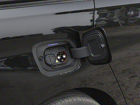 2025�� ½�� ������ 7��