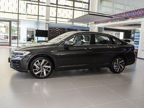 2025�� �Ŀ�� 300TSI DSG׿Խ��