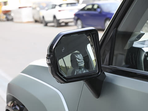 2025�� 2.0TD DCT �����Ǽ���ʿ