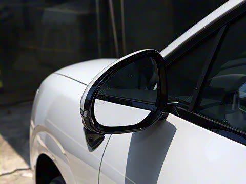 2025�� DM-i 170�캽Pro��