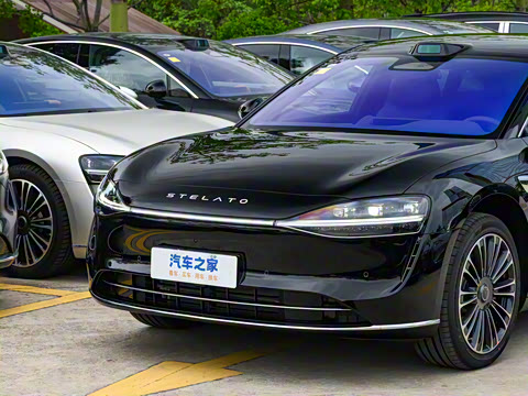 2025�� ���� Max