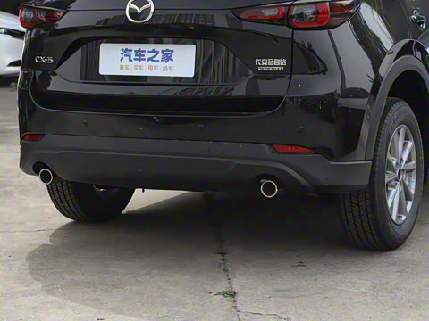 2024�� 2.0L �Զ�����������