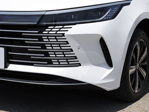 2023�� �ھ��� DM-i 120KM �콢��