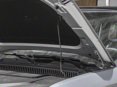 2025�� 501���������