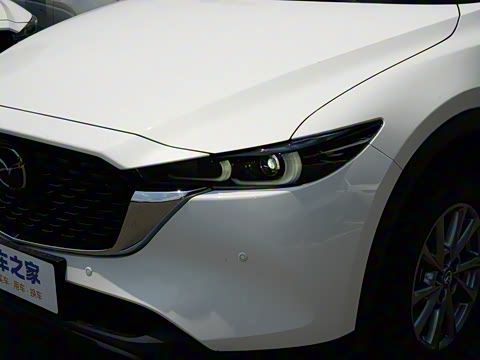 2025�� 2.0L �Զ���������Pro