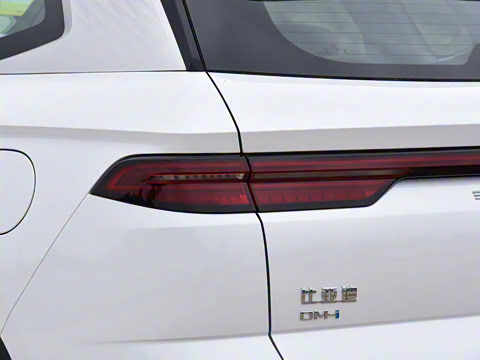 2023�� �ھ��� DM-i 110KM��Խ��