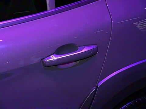 2019�� 1.5T PHEV Pro