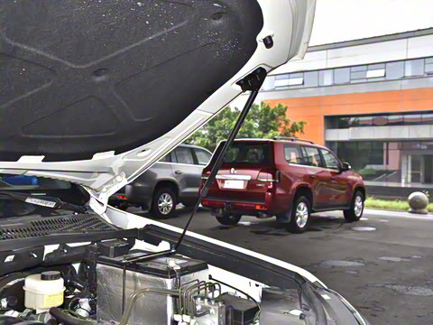 2023�� 4.6L V8 �캽��