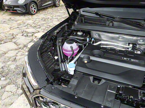 2025�� 290TGDI DCT�˷�� 