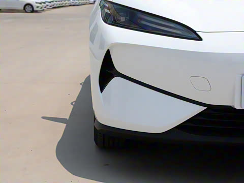 2025�� 520�ǻݰ�