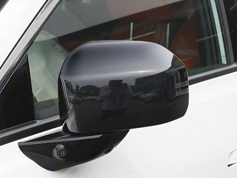 2025�� 520 Pro �����״��