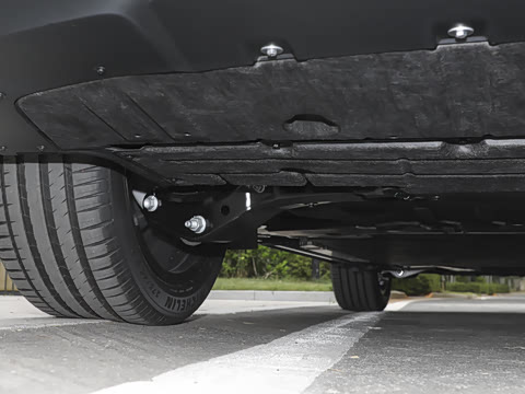 2025�� Max ������