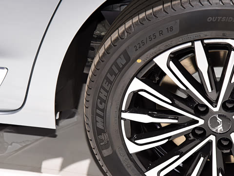 2024�� ���ɰ� 2.0T �콢��