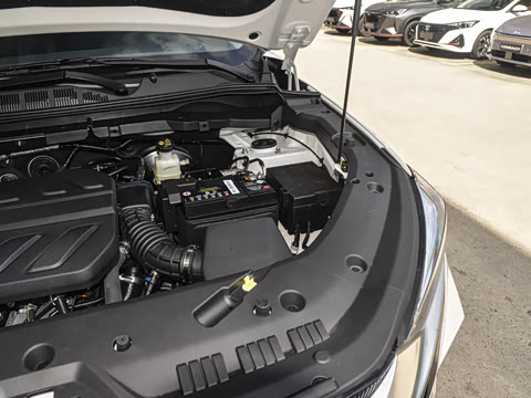 2025�� PRO 1.5T DCT ������ 7��