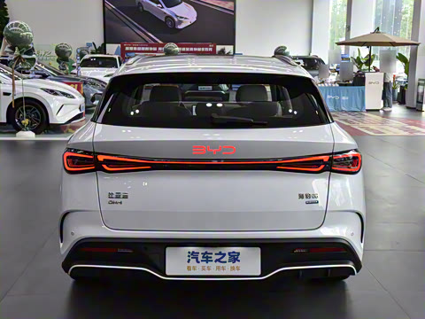 2025�� DM-i 80KM�����