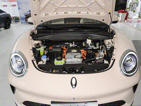 2025�� 430km ������