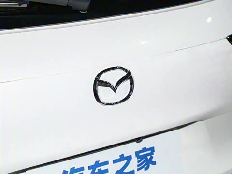 2023�� 2.0L ���а�