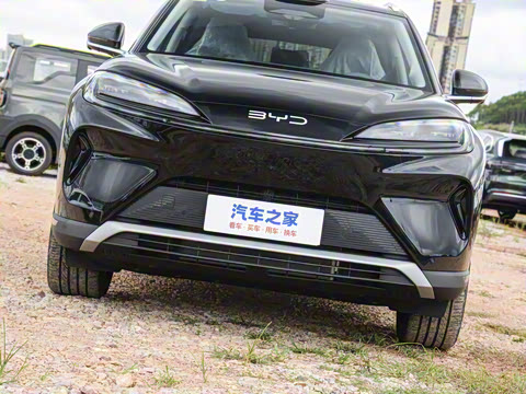 2025�� 135 �����ܼ����״��