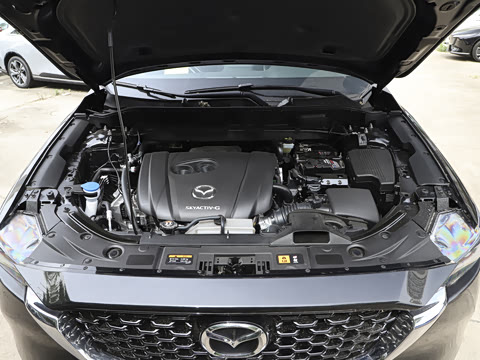 2024�� 2.0L �Զ�����������