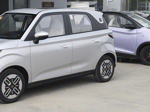 2025�� 305km ������