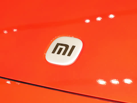 2025�� ������������������Max��