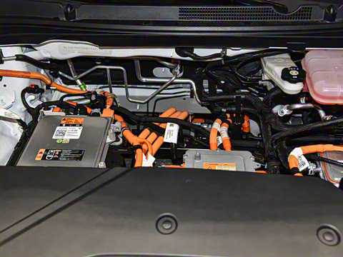 2022�� �����ǻ��� PLUS