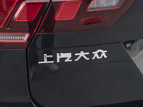 2024�� 300TSI �Զ�����������