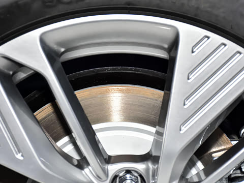 2025�� 445km ��ѡ��