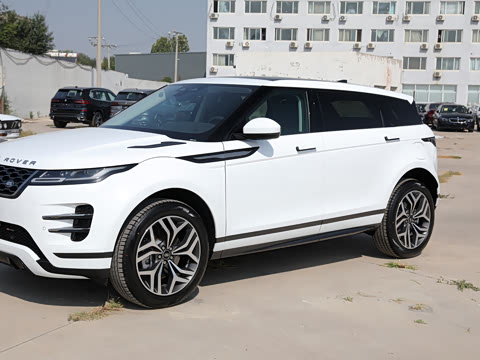 2022�� ����L P300e ���ʽ�綯��ϰ�