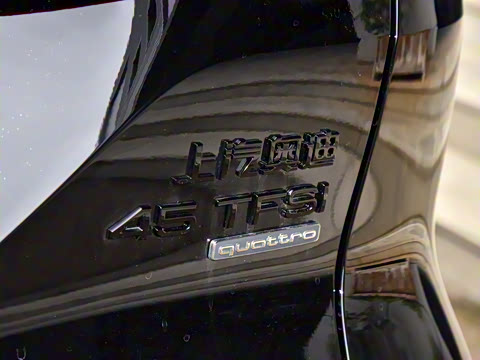 2024�� 45 TFSI quattro ����ʿ�� 6��