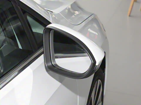 2025�� �Ŀ� 300TSI Pro