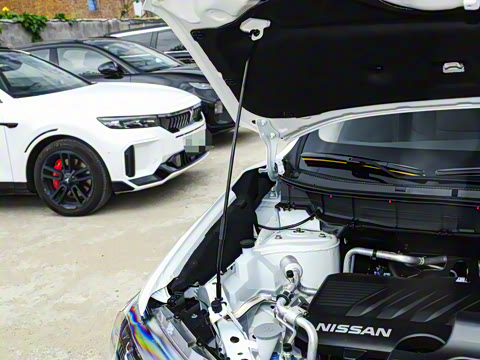 2025�� ���� 2.0L �������Ȱ�