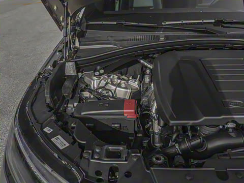 2026�� 250PS Dynamic SE