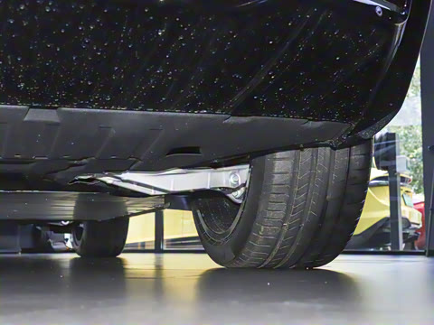 2025�� 600 ������