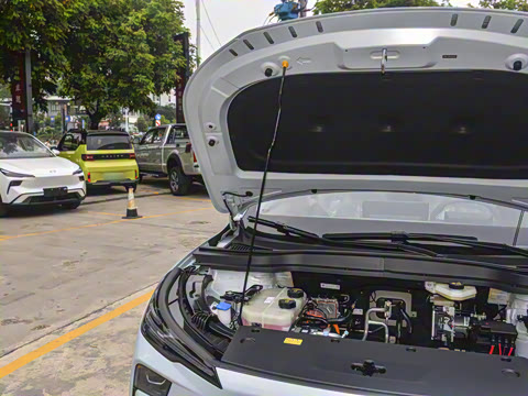 2025�� 565km ������